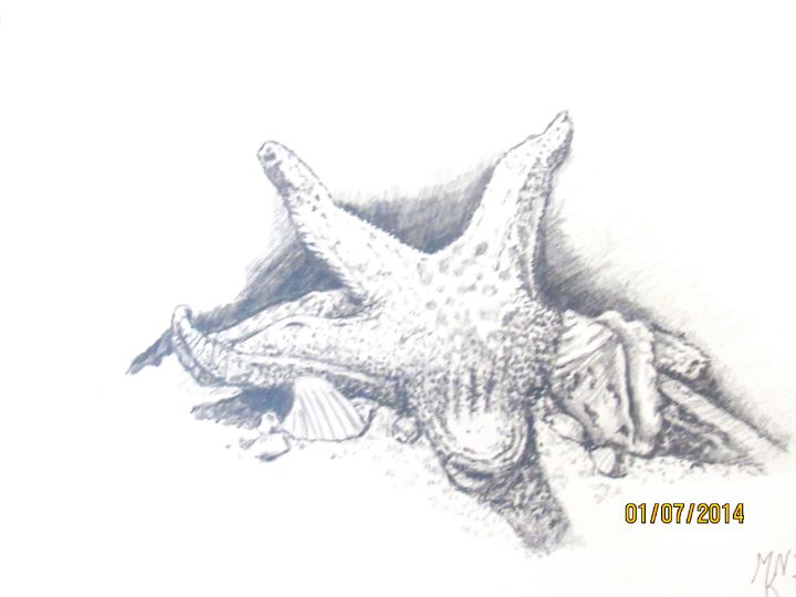 KnottsNelson's tweet photo. Art of the Day! "starfish". Buy at: https://t.co/VNEG5erYqd https://t.co/reW8GrDW1G