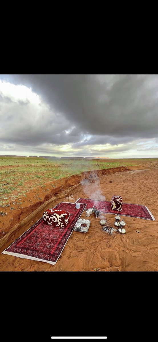 العفار tweet media