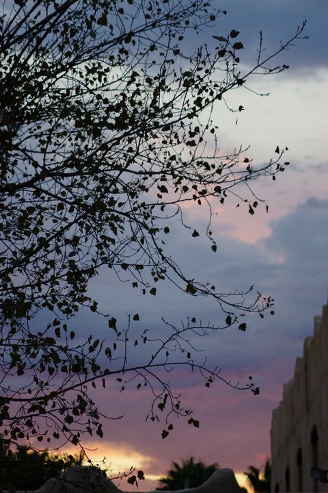 Kcinddy's tweet photo. Art of the Day! "SUNSET IN THE SOUTH OF FRANCE". Buy at: https://t.co/9rf0X5VLdg https://t.co/QLUygeXBFO