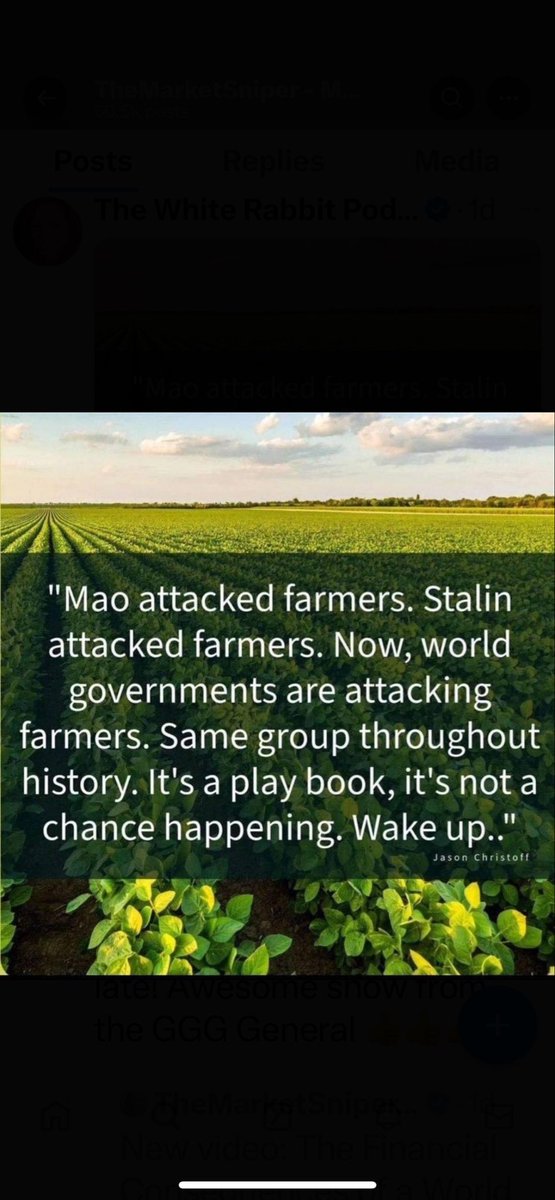 The Scientist tweet media