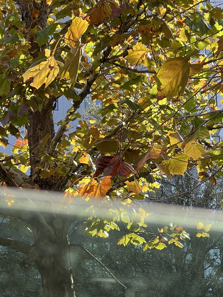 The3Ranchers tweet media