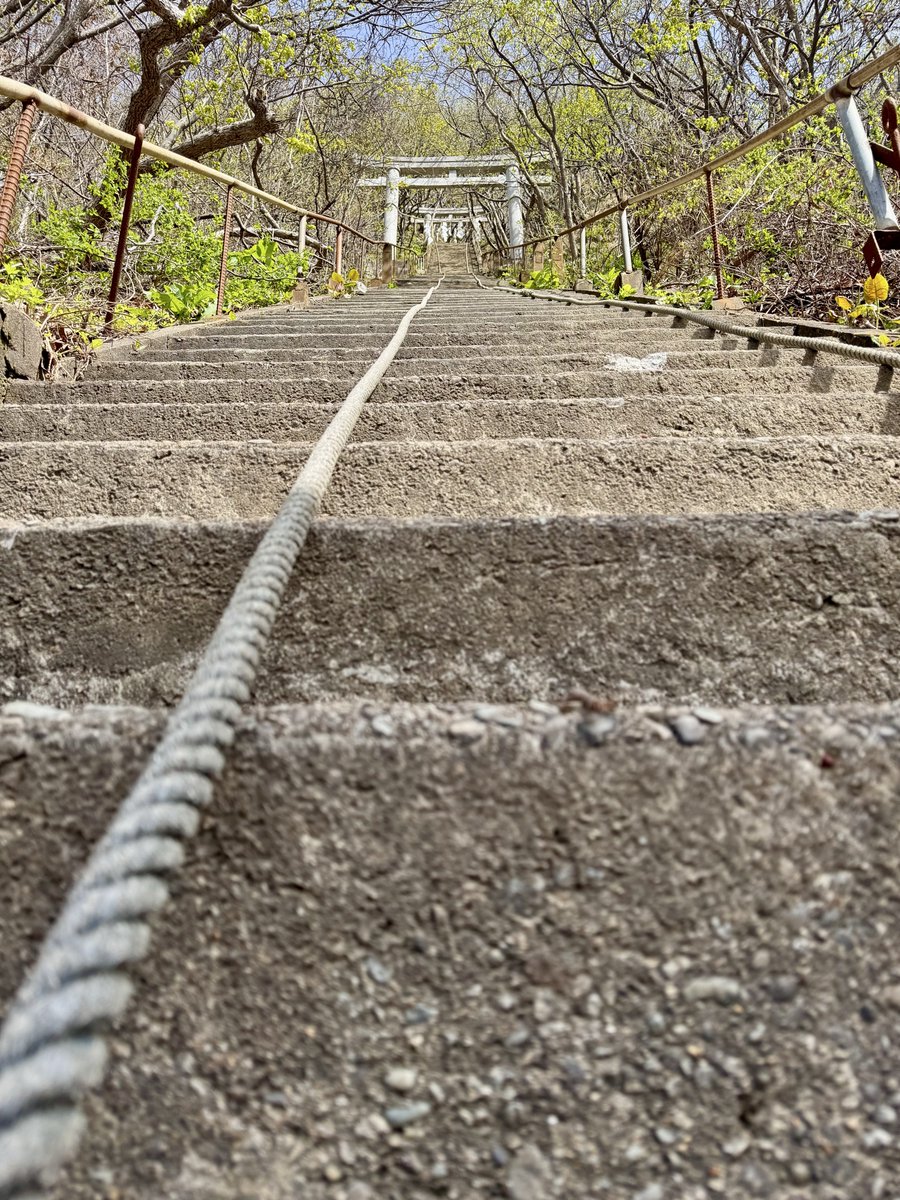 Domon 🏔 tweet media