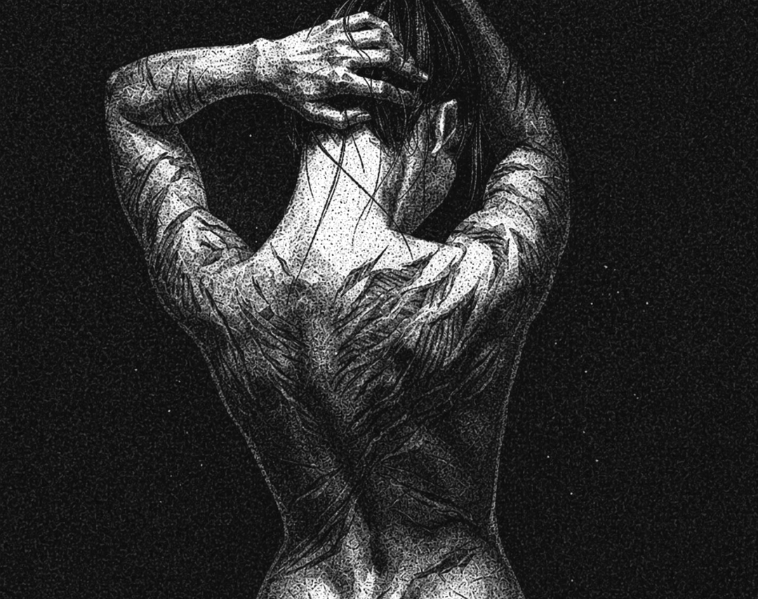 nocturnal tweet media