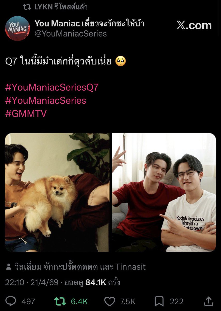เถียนปิงปิง🐶🎀 tweet media