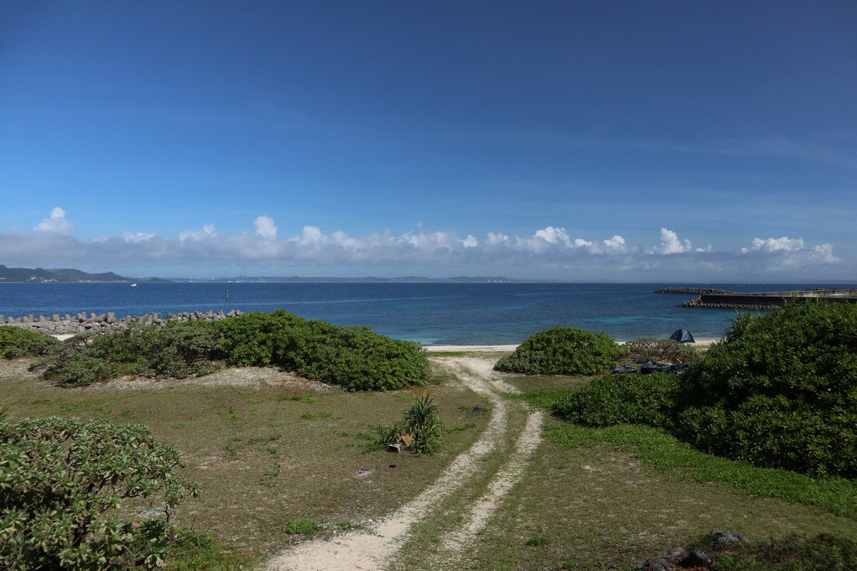 Бедный взрослый ребенок tweet media