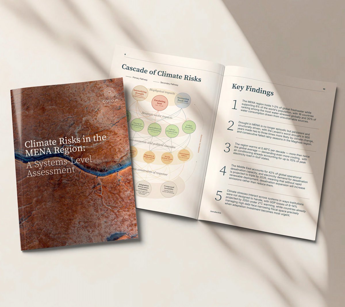 The Carboun Institute tweet media