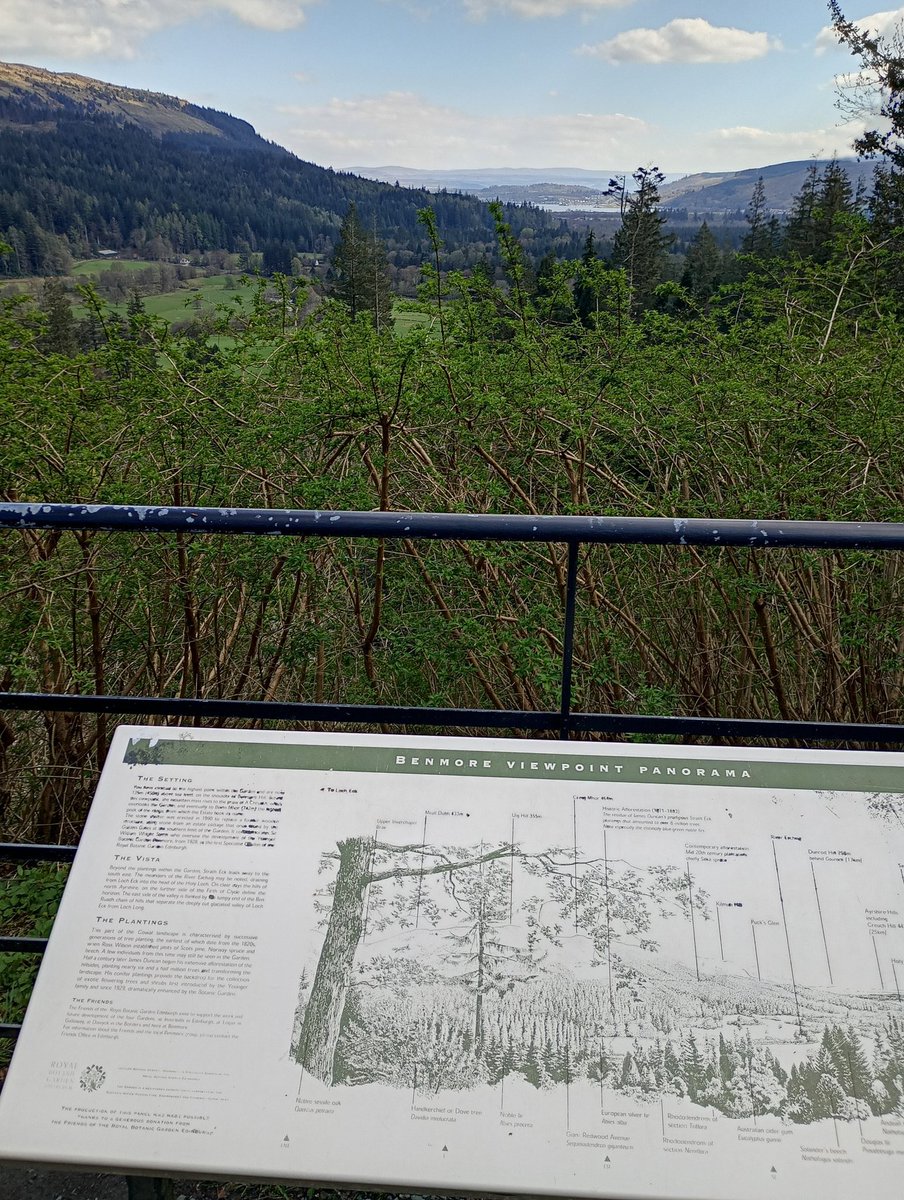 ChristinaC55885's tweet image. Benmore Viewpoint,Dunoon , Argyll today.
#benmore #Dunoon #Argyll