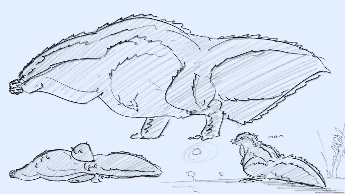 Manly Spoon tweet media