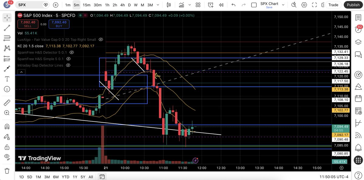 No Spam Trading tweet media
