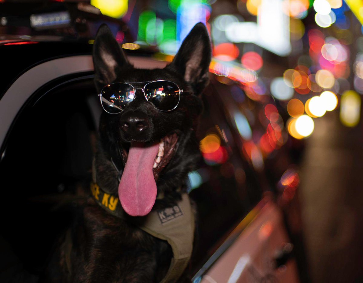 Bolden Area Command tweet media