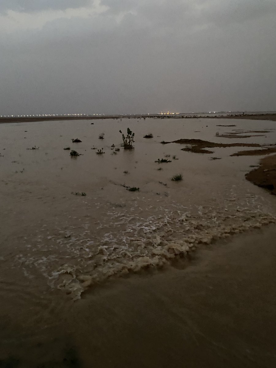 ابوعبدالله الفيصل tweet media