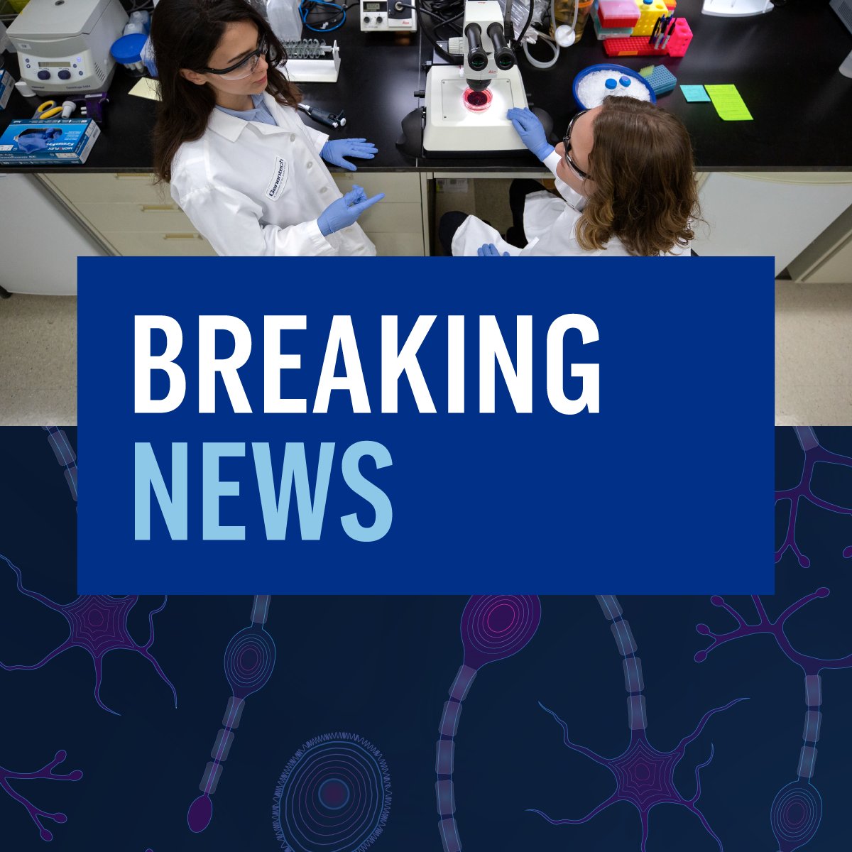 Genentech tweet media