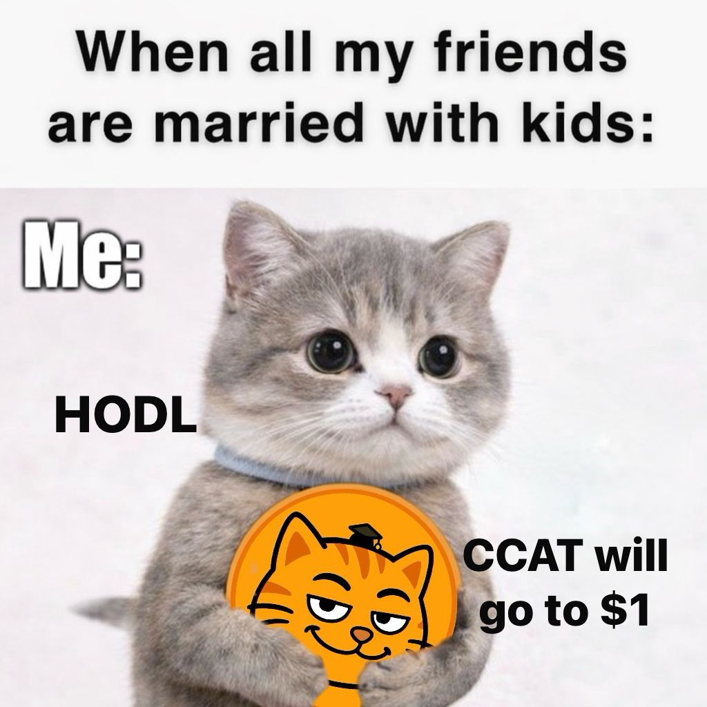 Coincat_Global's tweet image. They build families.
I build positions. 😼

#CCAT #HOLD