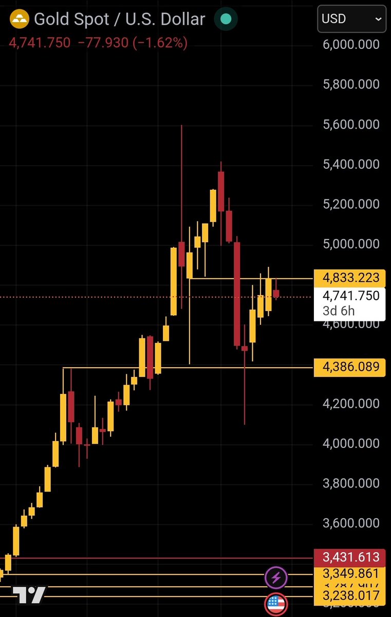 Goldenpanda.eth(🤎,🐼)🎋 👑🪙💰 tweet media