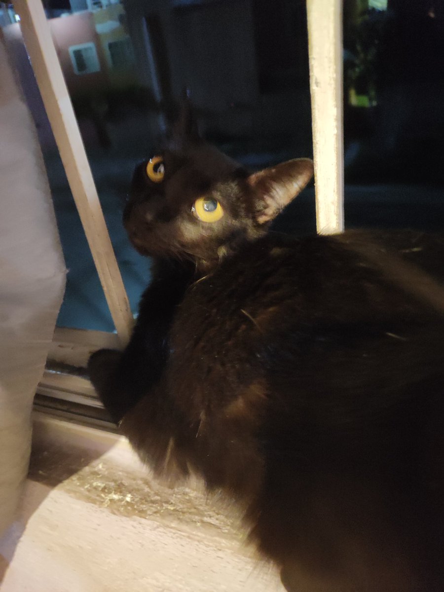 🇲🇽MIKITA Reyna Dragón del Mar☁️🌈120623 tweet media