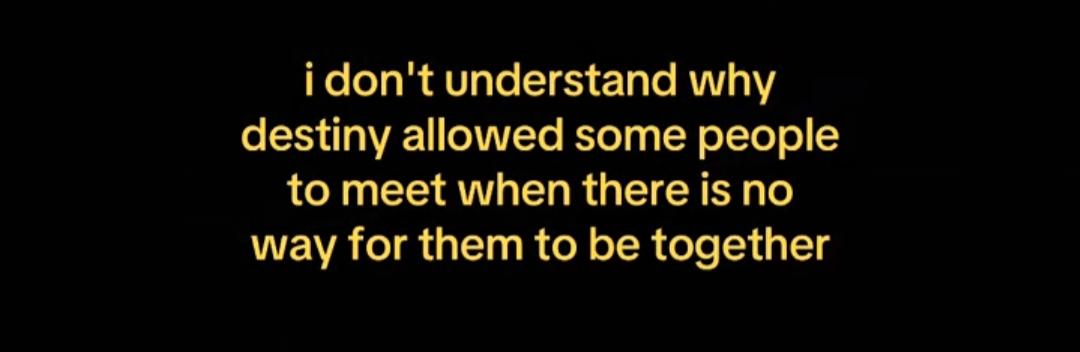 Libriscent tweet media