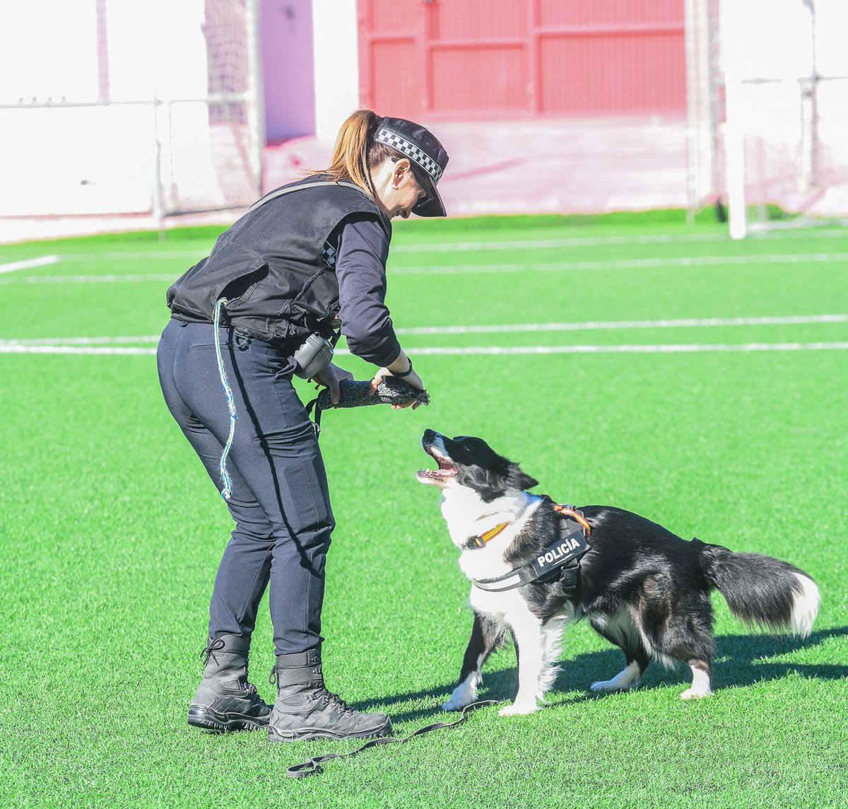 PoliciaAlboraia's tweet photo. 👮🏻♀️🐶 La Unitat Canina #UCAN (Kira🦮 i Hanna🐕🦺) i la seua guia hem participat en les Jornades de Guies Canins celebrades en la Base Militar de Bétera.
I també ens han convidat a unes exhibicions per a escolars en Cullera i Mislata, junt amb altres unitats policials i militars. https://t.co/gtDBgD9Mp6