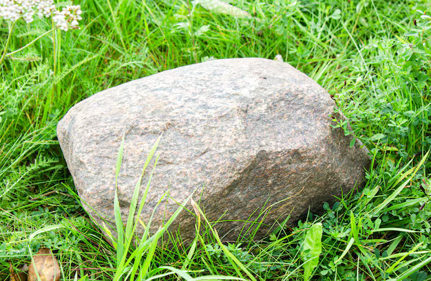 fellopian tube tweet media