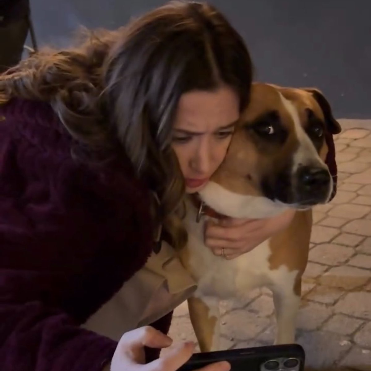 𝓐𝓿𝓲 ☆ tweet media