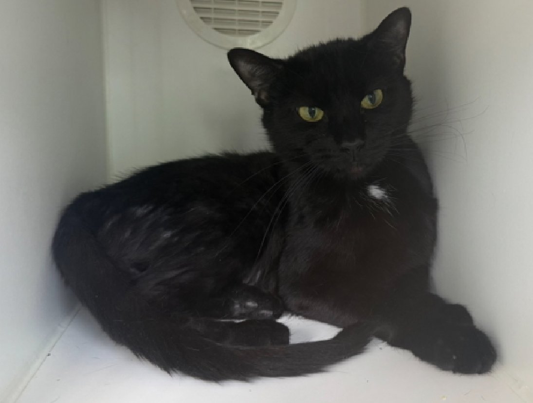 Jack5928 tweet media