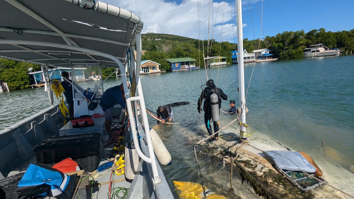 NOAA Marine Debris Program tweet media