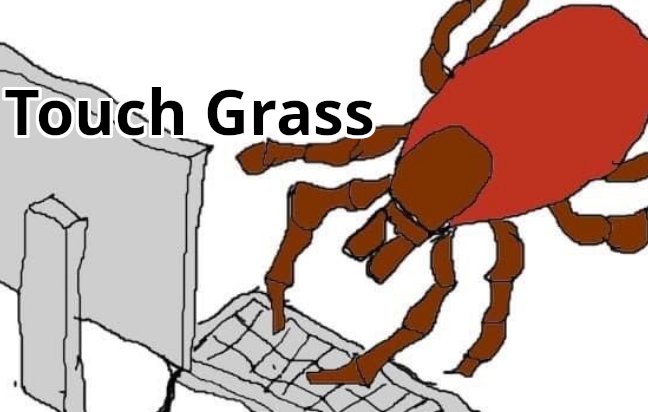 Are tick-born diseases on the rise because we told everyone to go "touch grass"?

Did we ever look into who started that meme

Oh god
