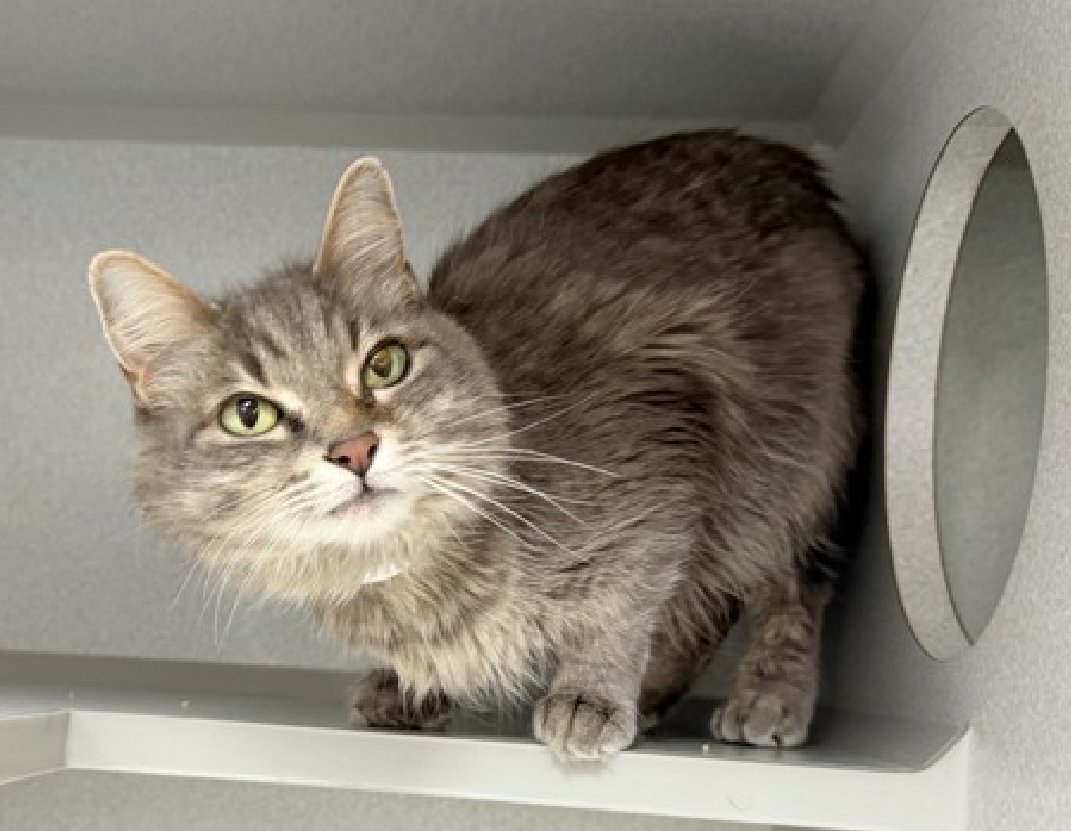 Jack5928 tweet media