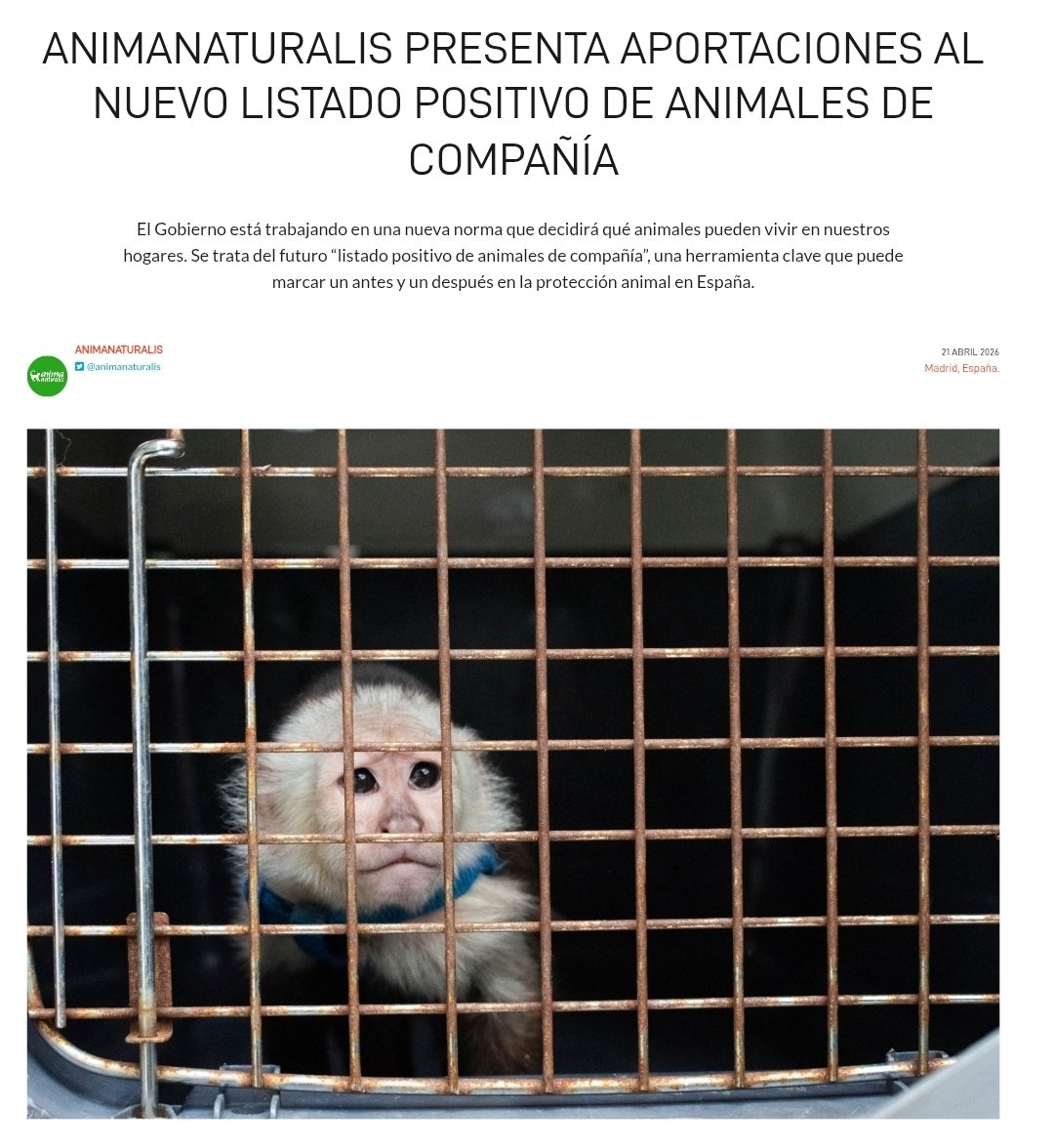 ✅️ Presentamos alegaciones al “listado positivo de animales de compañía”, una herramienta clave que puede marcar un antes y un después en la protección animal en España.

🏡 La nueva norma decidirá qué animales pueden vivir en nuestros hogares.

📝 El proyecto de Real Decreto