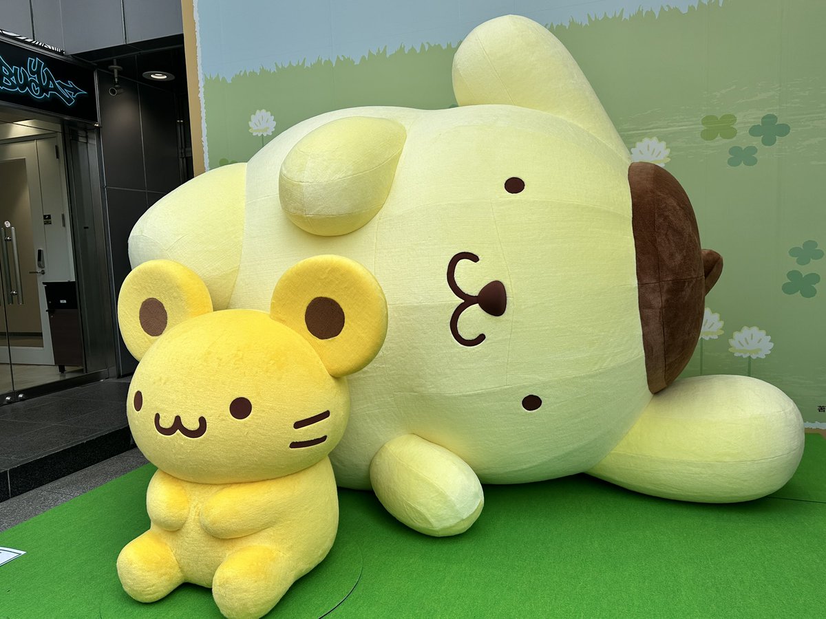 sun261717's tweet photo. ポッポッポッポムポム♪ https://t.co/He2ScHQutO