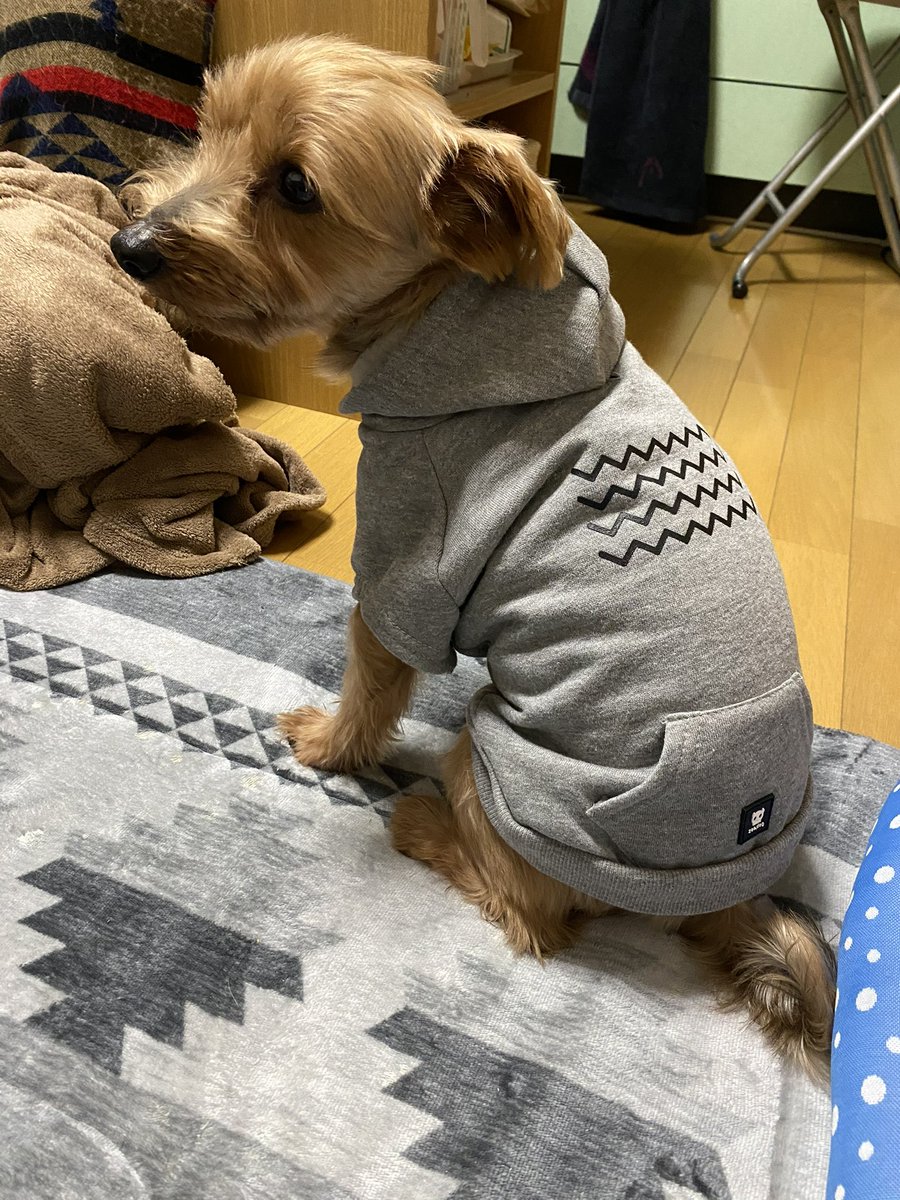 くろべた tweet media