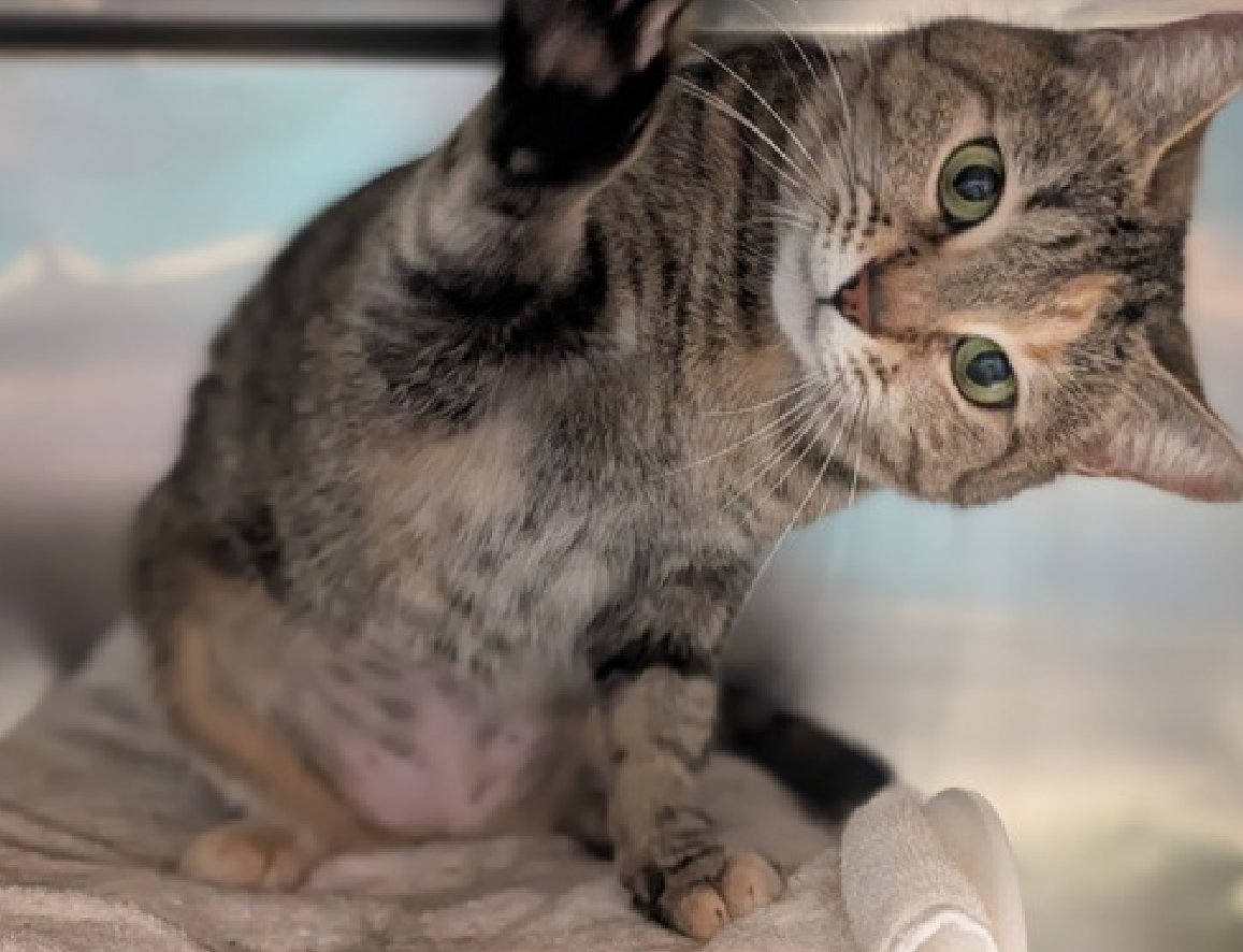 Jack5928 tweet media