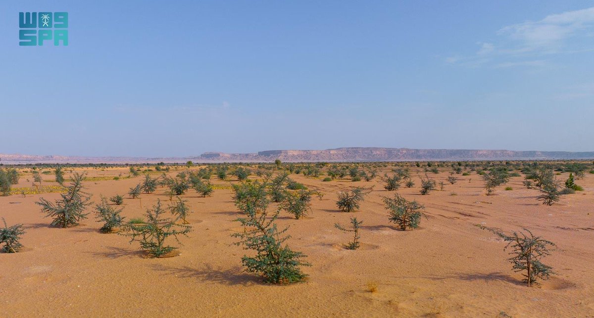 واس جودة الحياة tweet media