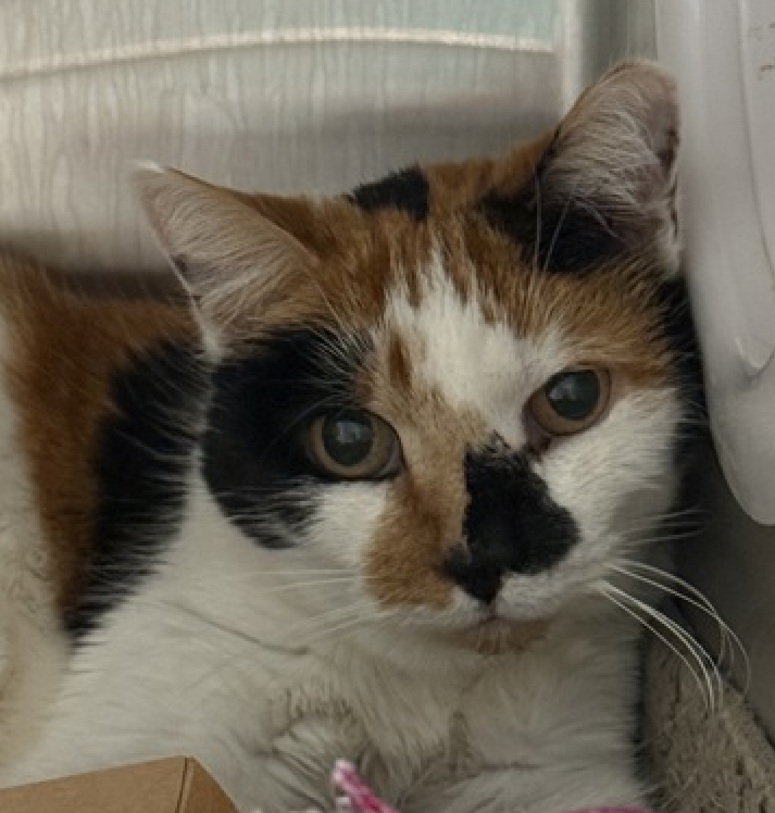 Jack5928 tweet media