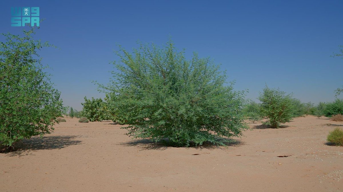 واس جودة الحياة tweet media