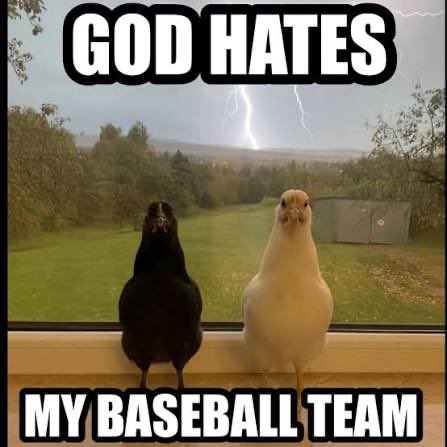 Stacey ❤️⚾️❤️ tweet media