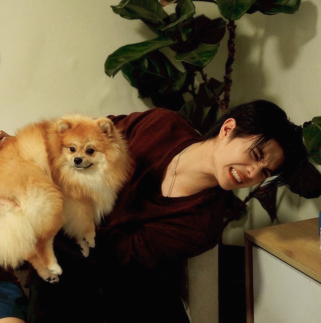 M🎸🦈 tweet media