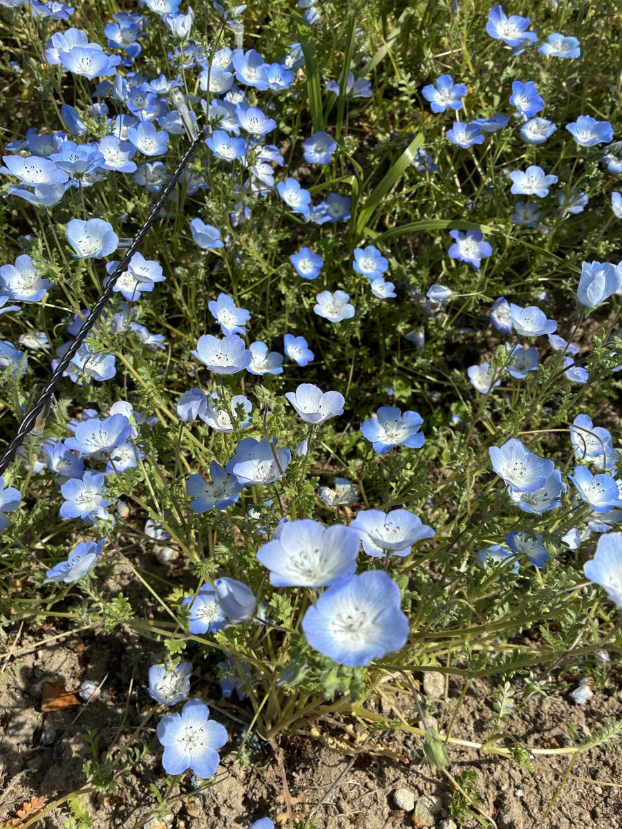 らにむ tweet media