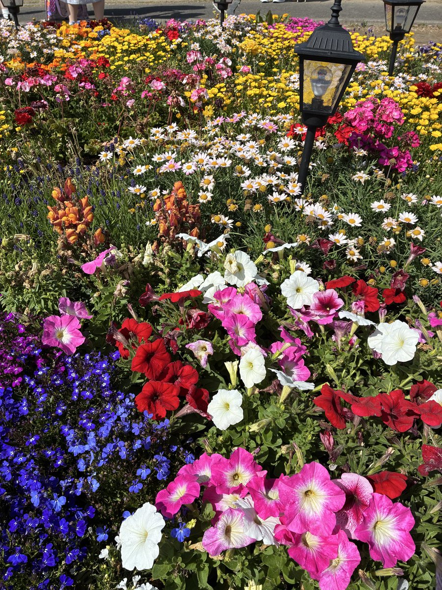 らにむ tweet media