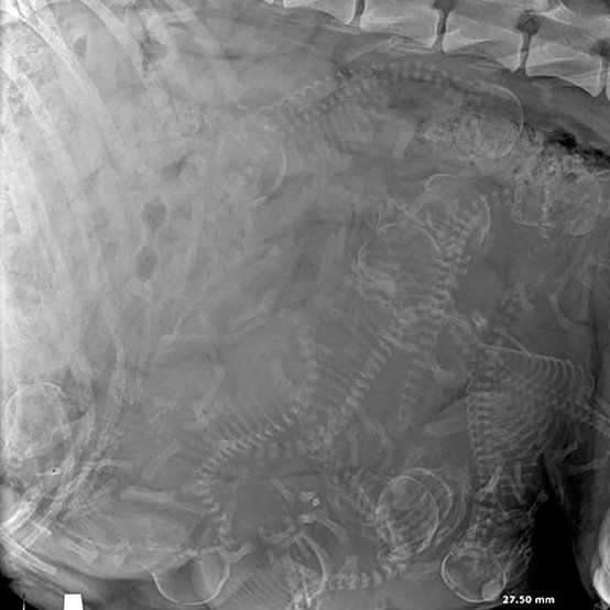 Master Notes ☿ tweet media