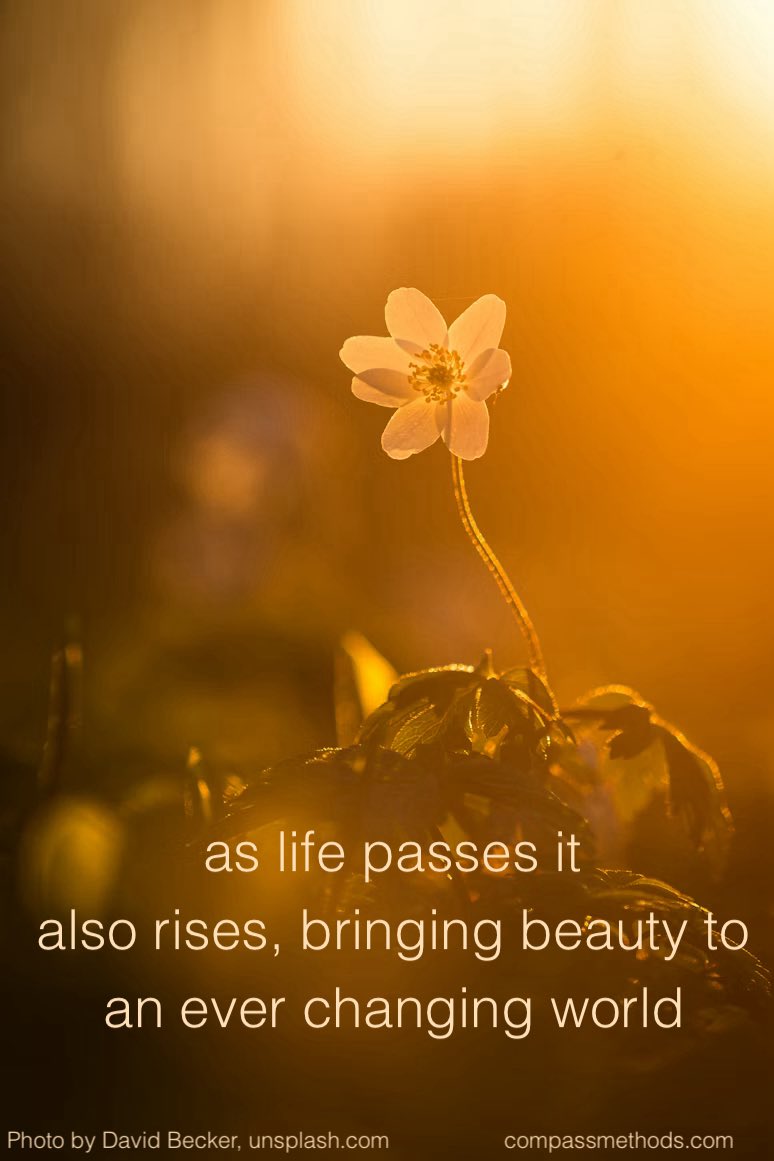 wilson_hurley's tweet image. Life can be beautiful when lived with love, compassion, and wisdom, compassmethods.com. youtube.com/@compassionsco… #beauty #life