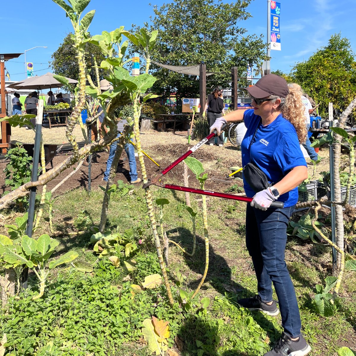 Sempra Infrastructure tweet media