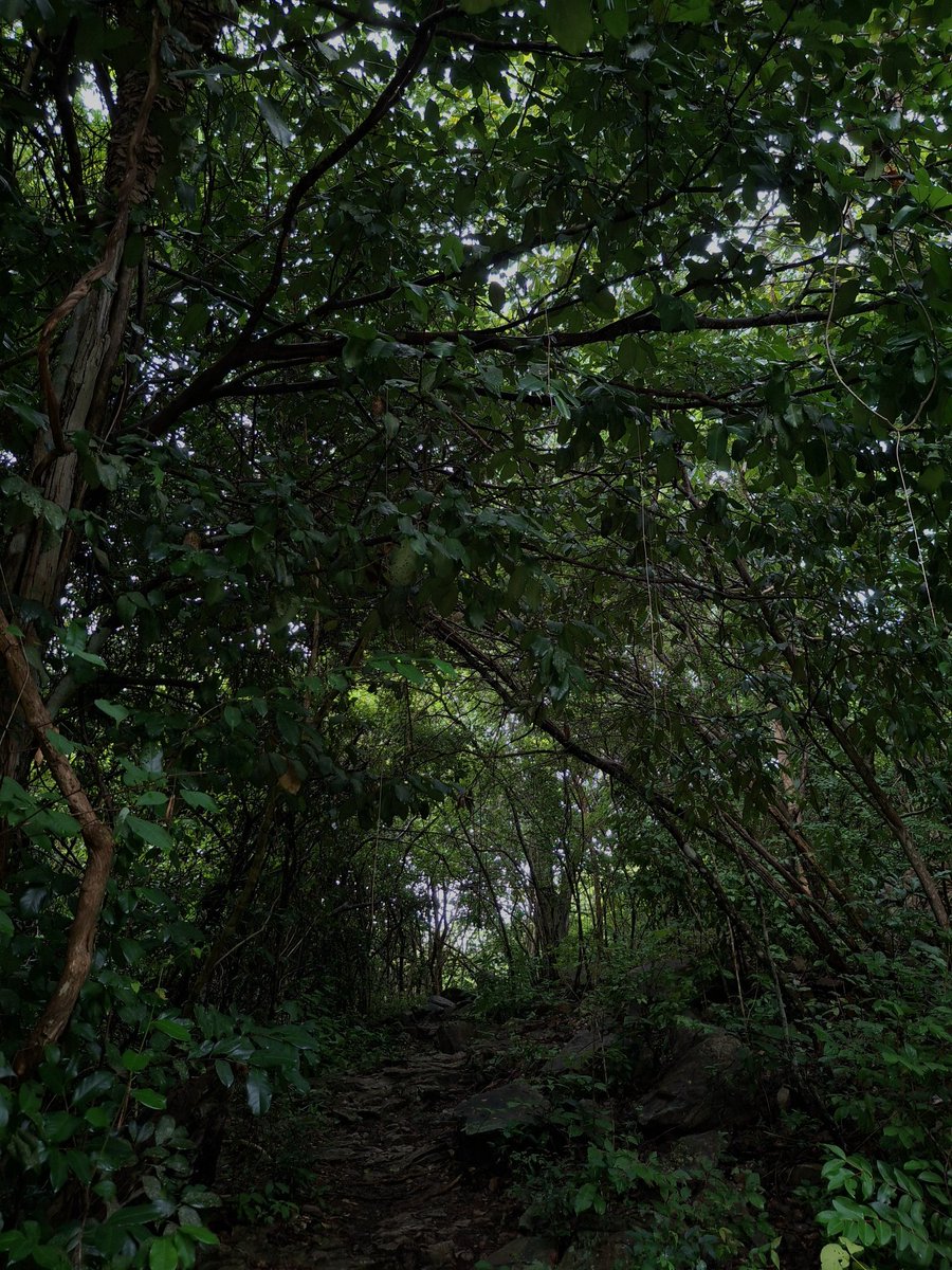 jovemdocampo tweet media