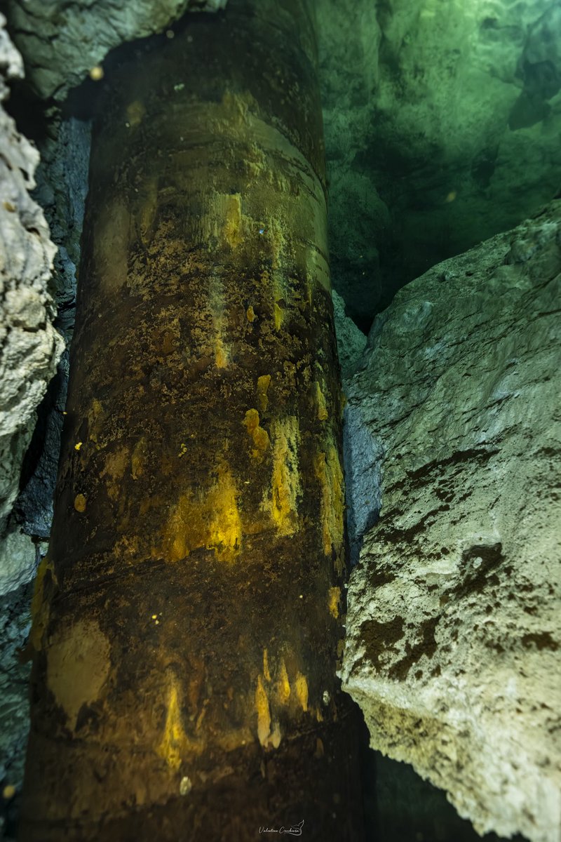 SelvameMX's tweet photo. Nuestras valientes exploradoras siguen documentando la corrosión de las columnas del mal llamado @TrenMayaMX.
Sin estudios previos de impacto ambiental y de forma ilegal, se hincaron 15 mil. https://t.co/qxIJy78j4s
