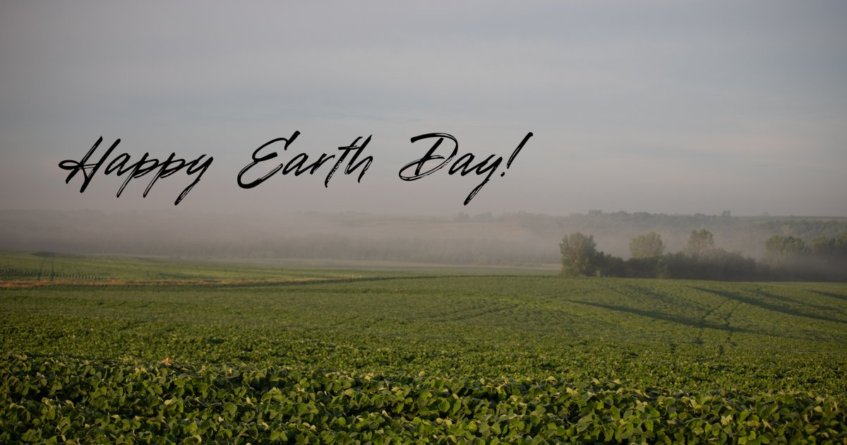 Kansas Soybean tweet media