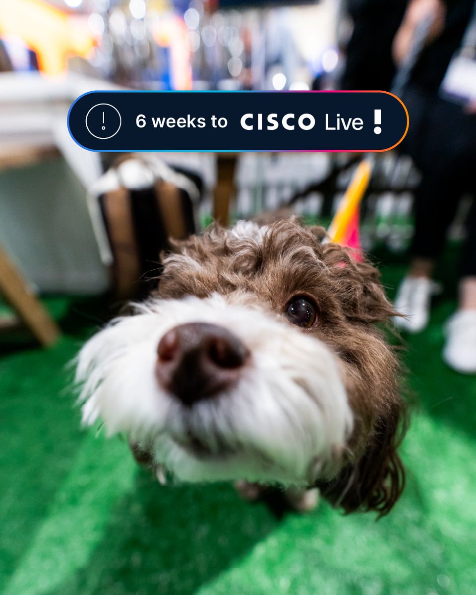 CiscoLive's tweet image. We’re officially 6 weeks out from #CiscoLive 2026! 📢
We’re counting down the weeks until our community is back together. If you haven’t registered yet, this is your sign. Let’s go! ✈️  cs.co/6012BBBlD8

#Cisco #Tech #Techevent #IT