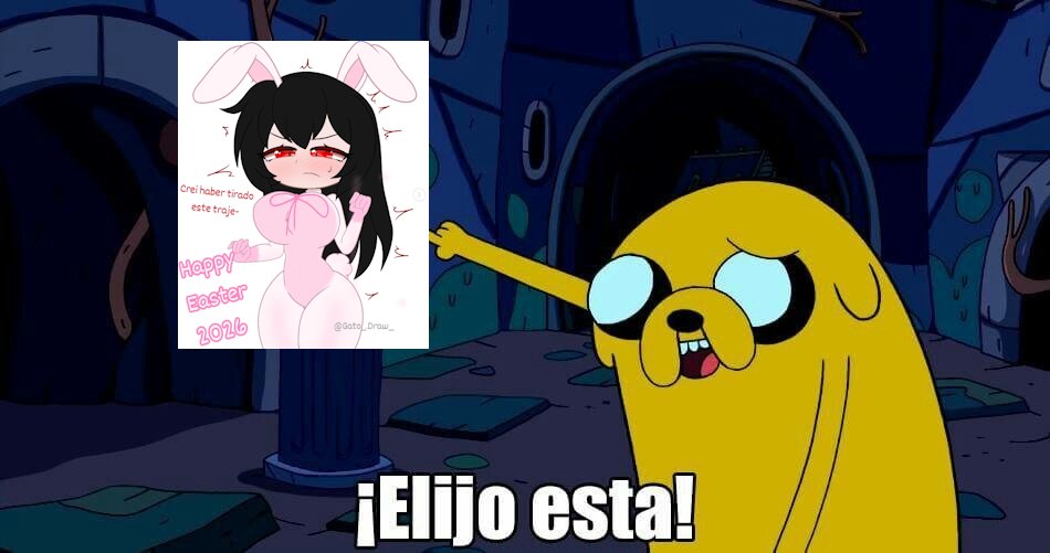 benjador_Bv 🍞 tweet media