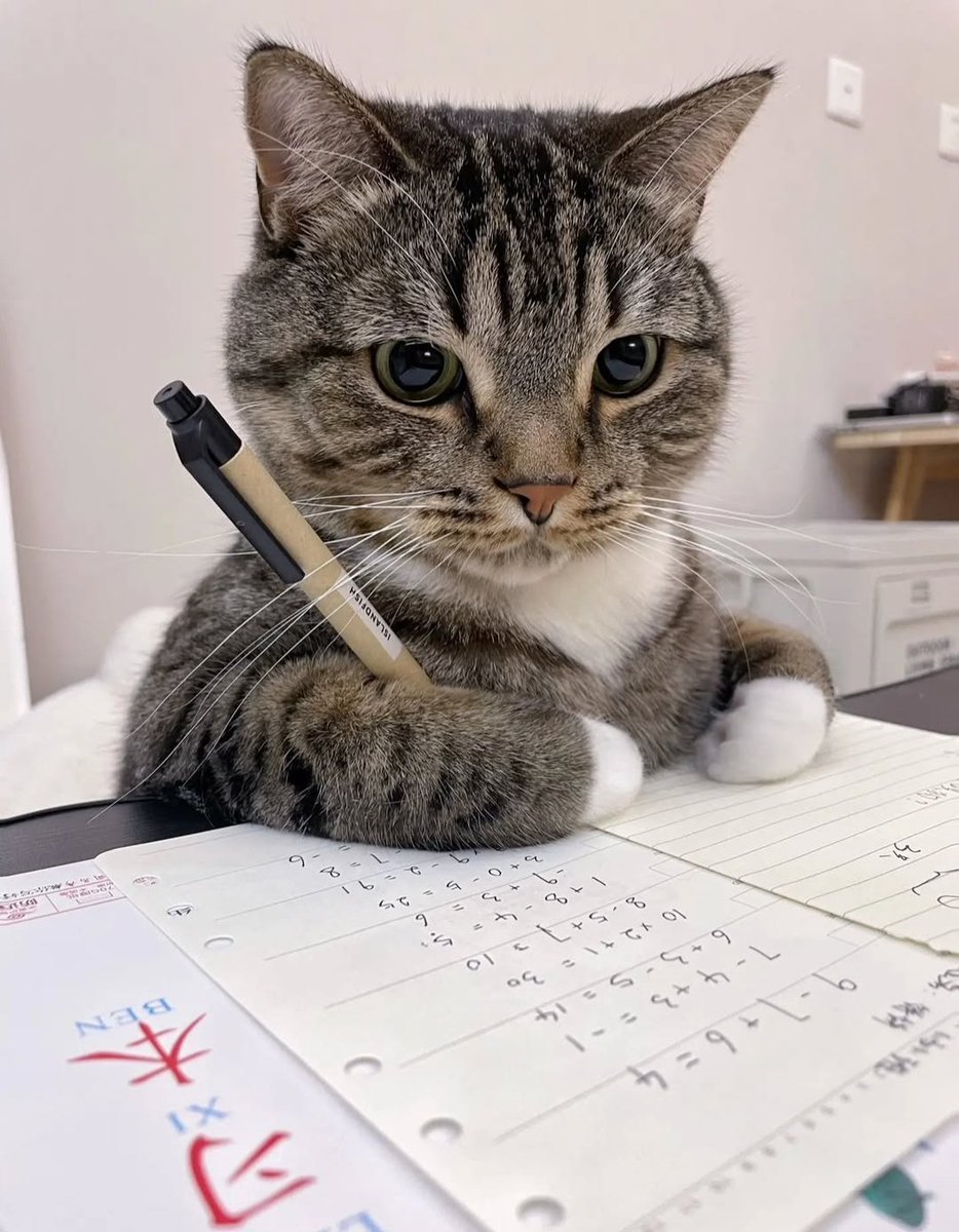 PostofcatsX's tweet photo. Genius kitty 😺 https://t.co/7Oxud7kcdC
