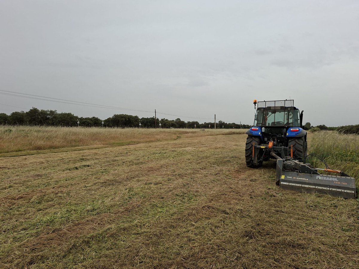 Rubén Galea Gil tweet media