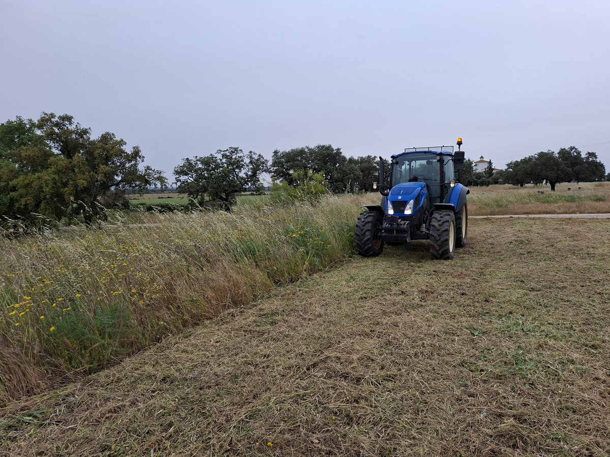 Rubén Galea Gil tweet media