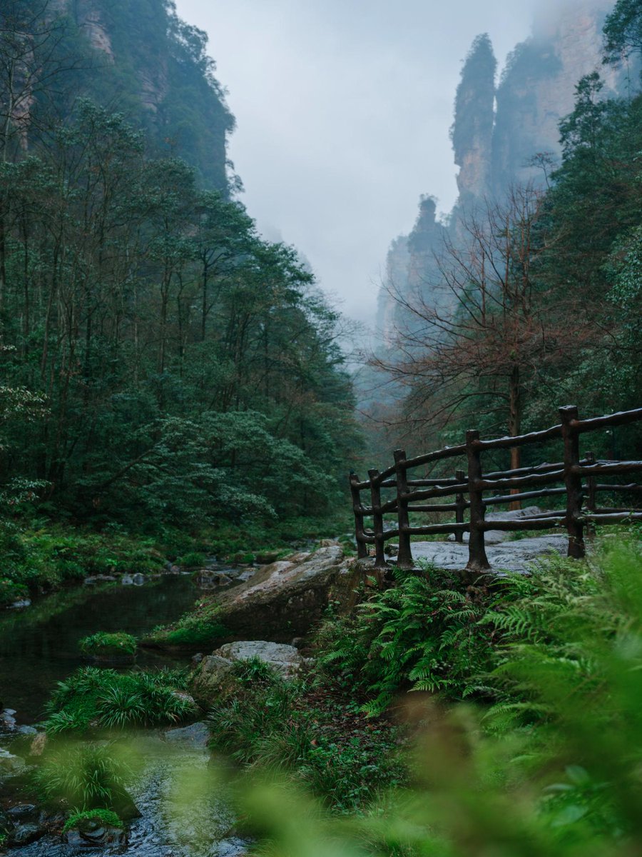 kaylahamp596's tweet image. I shot this in Zhangjiajie.

From above, it looks like endless paths.
On the ground, it just feels confusing.

That’s when I realized —
more options don’t give freedom.
They create hesitation.

#travelchina #uxdesign #productthinking #buildinpublic